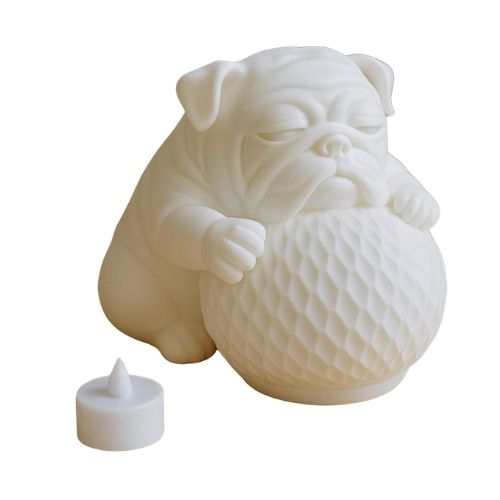 3D Decorative Object