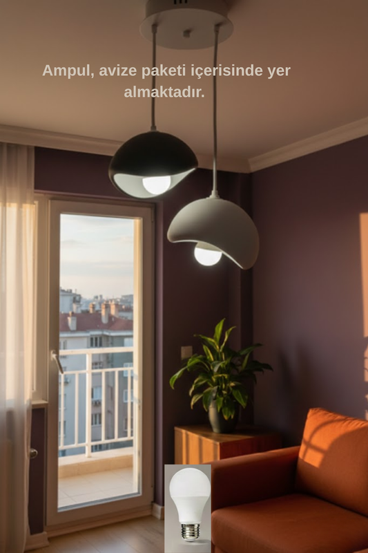 Black and Gray Decorative 2-Light Pendant Chandelier (Includes 2x Gift Bulbs)
